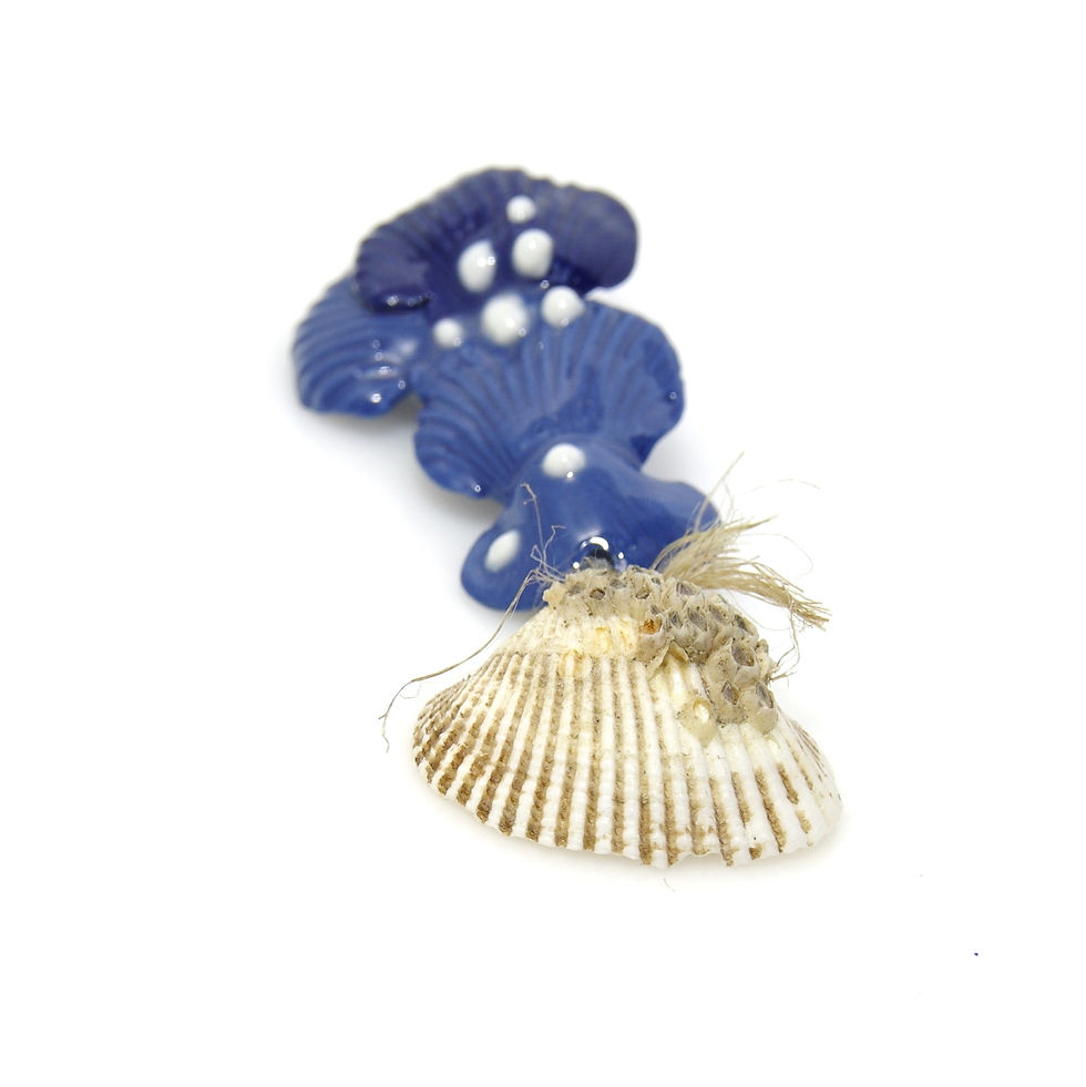 Broșă din porțelan albastru și scoică naturală