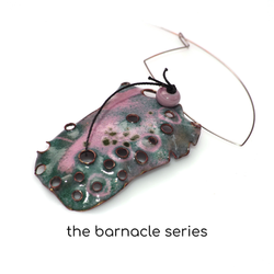 the barnacle series