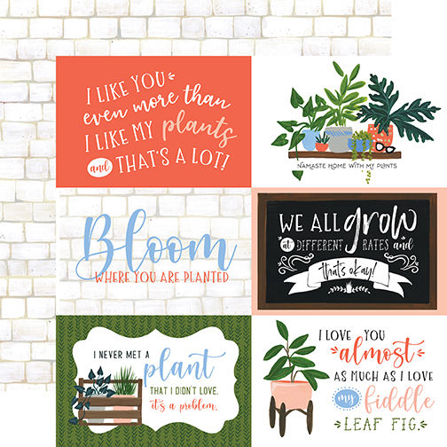 Thumbnail: PLANT LADY COLLECTION KIT