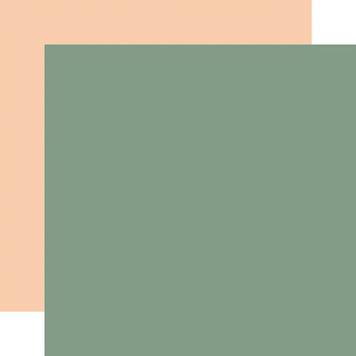 Thumbnail: OUR BABY SOLIDS PAPER PACK