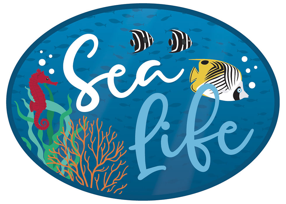 Thumbnail: SEA LIFE SOLIDS PAPER PACK