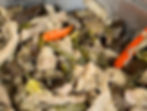 Bicol Express
