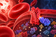 Scientists Map Hidden Protein Network That Helps Red Blood Cells Adapt to Oxygen
