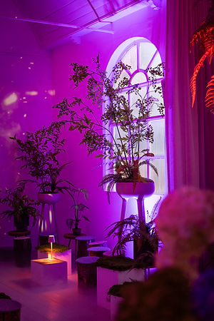 Eventlocatie Folkk in Lemmer volledig verzorgd en gestyled door Folkk en Blooming. Inspirerende locatie voor zakelijke bijeenkomsten, product lanceringen, merkpresentaties, workshops, vergaderen en teamdagen in Friesland. Van bloemen en styling tot complete event aankleding voor professionele events nabij Heerenveen, Joure en Emmeloord.