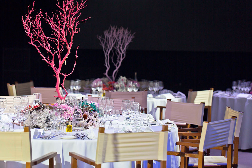 Event bootlancering, eventstyling, decoratie, aankleding, lemmer, friesland, nederland