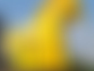 El Caballito yellow geometric sculpture by Sebastián in Mexico City exploring form and mathematics in public art