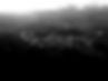 Untitled design (91)_edited.jpg