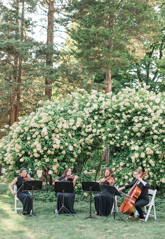 String quartet performing at Wadsworth Mansion Wedding ceremony