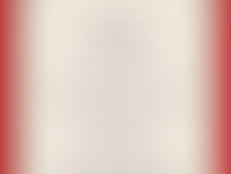 Kalėdinė parama beglobiams gyvūnams