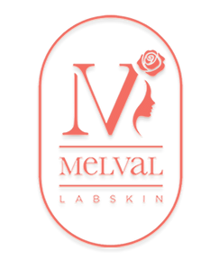 LOGO MELVAL.png