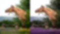 InShot_20260310_191944457.jpg