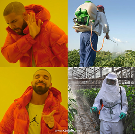 Memes