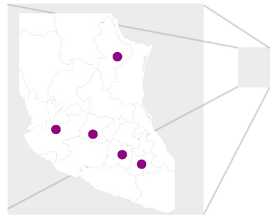 Nuevo León (1).png