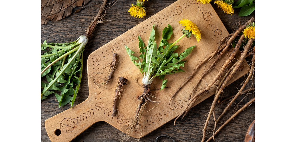 Dandelion Root Powder