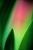 Santa Fe New Mexico Intuitive Healing