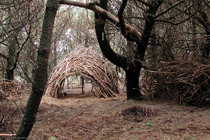 community-woodlands.gif
