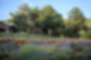 C+F pix field table best.jpg