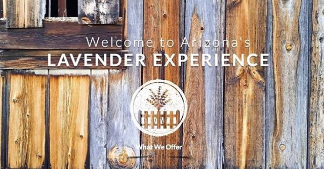 secondnewlife | Profile