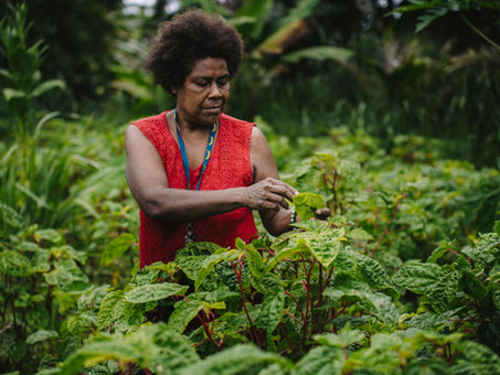 Everything is Better with Chocolate. It Starts with Cocoa.