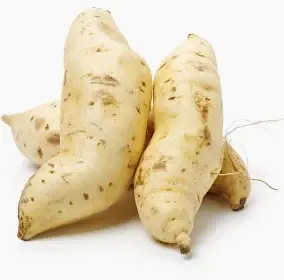 Fresh Sweet White Potato