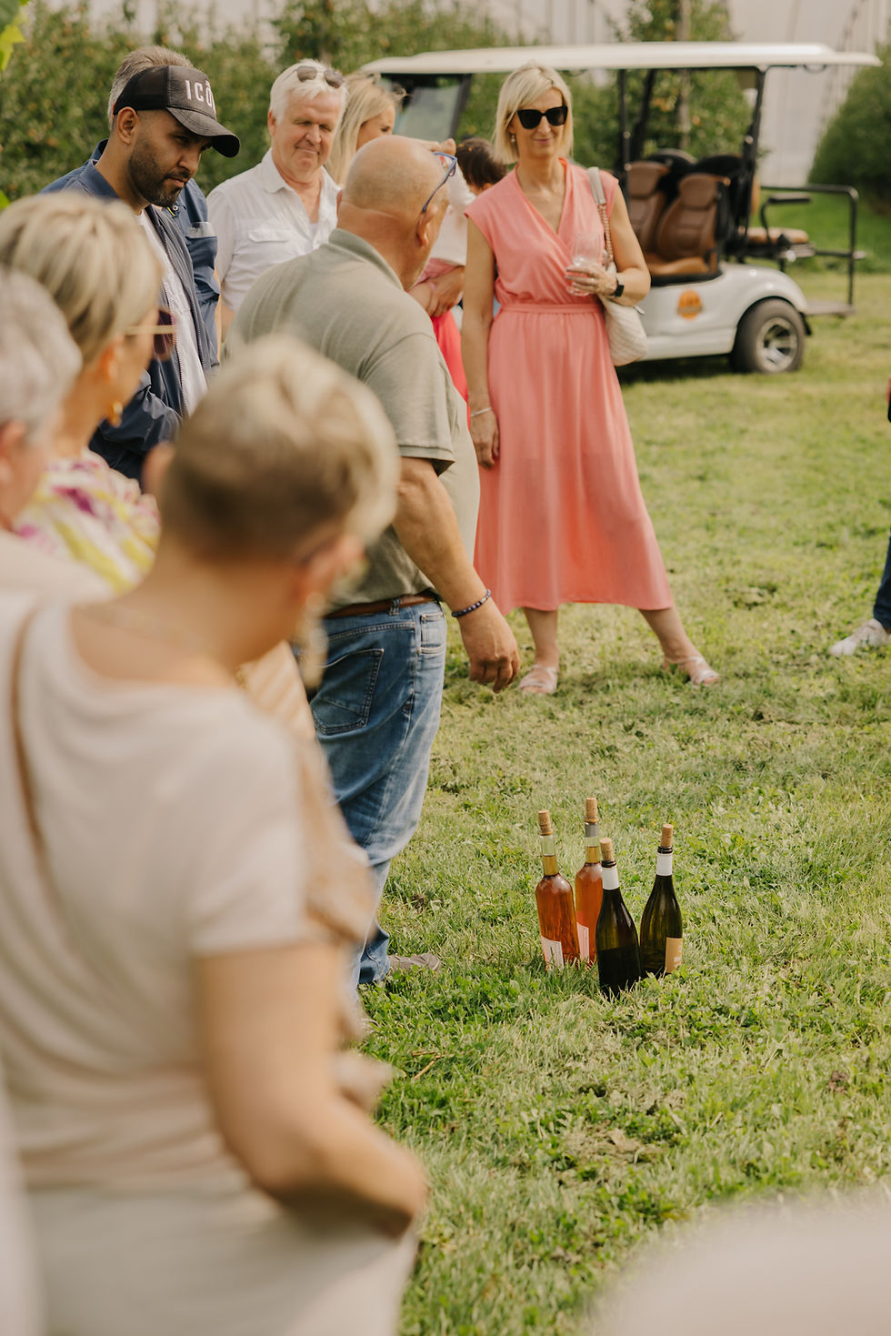 WineSafari-24