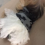 31289198_376598309523743_118504779985138