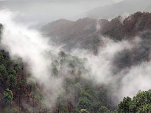 Kasuali – Closest Gateway to the Himalayas!