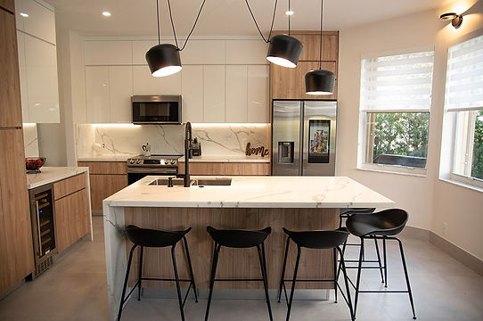 ed85e3-4345-3f11-c424-151047824ec_Contemporary-Kitchen-Miami-Florida.jpeg