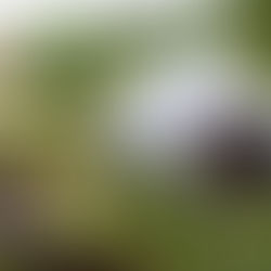 Adventure Tourism in Guatapé, Colombia