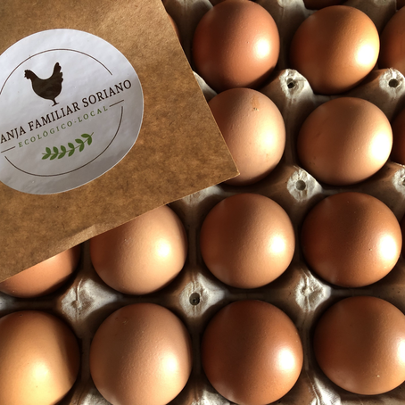 Granja Familiar Soriano: On Conscious Consumption