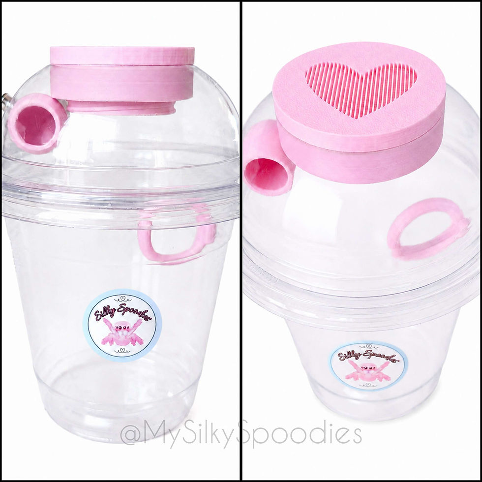 Thumbnail: Smoothie Cup Homes (Cross-Ventilated)