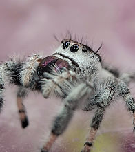 20251214_171557_edited.jpg
