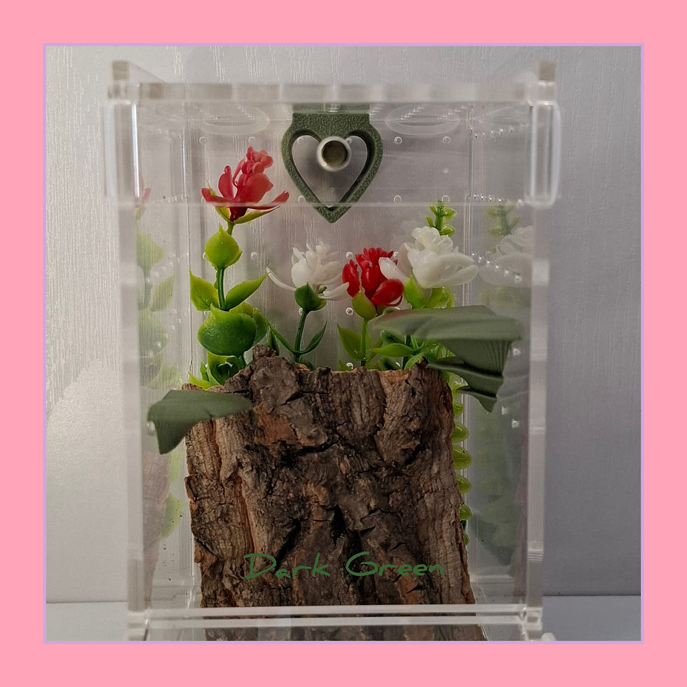 Thumbnail: Decor Pack