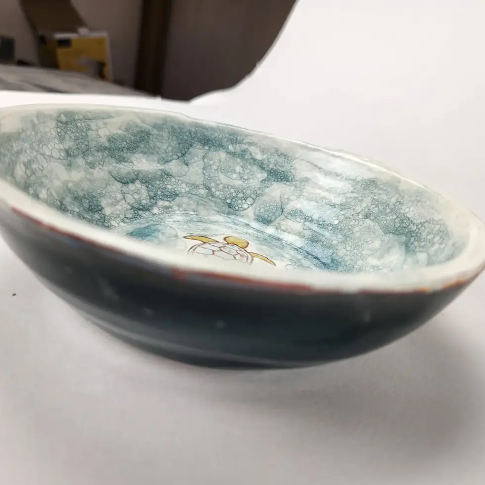 Turtle Bowl #2
