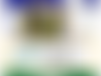 Learn to Curl Course Beginning Oct.3rd