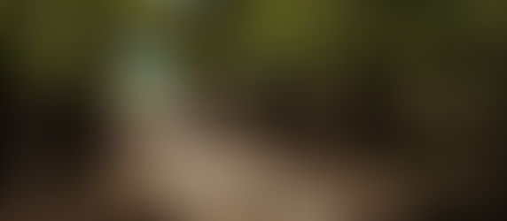 Your Next Destination for Adventure