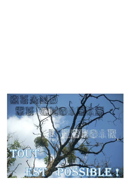 arbre 2$