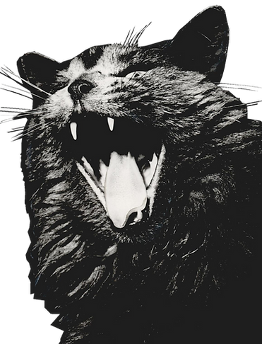 cat%20yawn_no%20background_edited.png