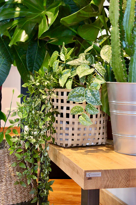 Interieurontwerp, Interieurstyling