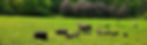 20190731_134020_edited.jpg