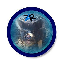 sheila logo.jpg