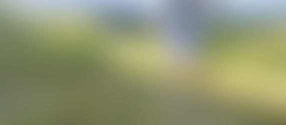 Heute ist ein schöner Tag!