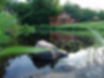 DSC03373.JPG