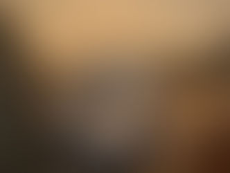 cuidados de tu perro