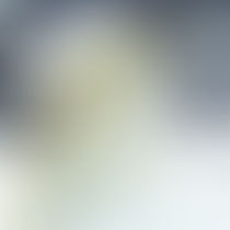 CITLA UN PERRITO MUY ESPECIAL1