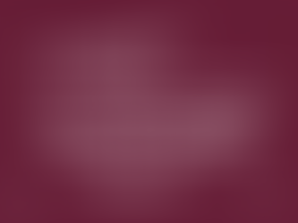 5 Common Myths About Children Learning a Second Language