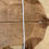 Thumbnail: Atlas moth jacket