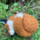 Thumbnail: Sleeping Fox