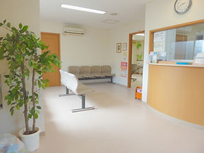 P1090405_edited.jpg