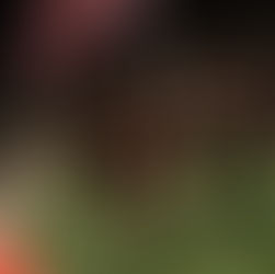 AFC Toronto earns first win with 2-1 triumph over Calgary